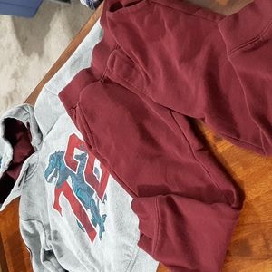 Dinosaur Sweatshirt and Sweatpants Boys (6-7)